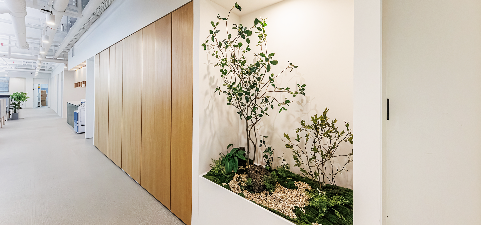 슬라이드 이미지