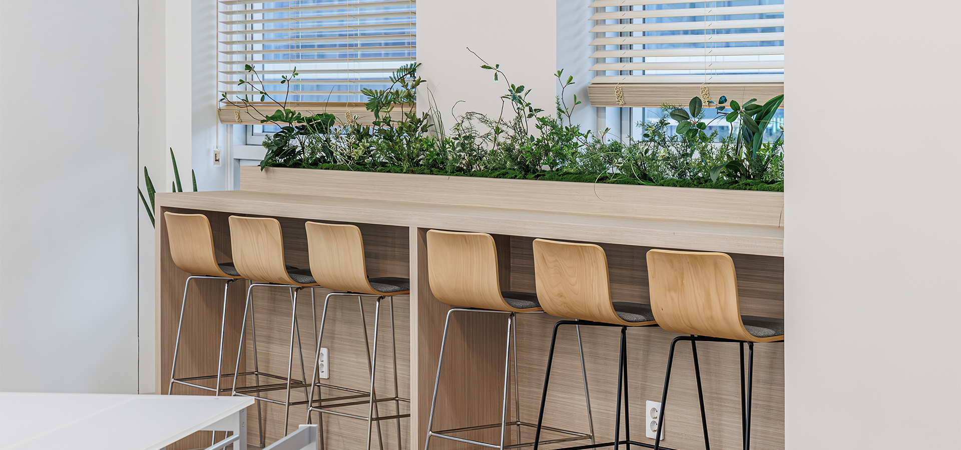 슬라이드 이미지